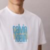 Modern Calvin Klein Graphic Logo Tee Modern Calvin Klein Graphic Logo Tee