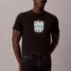 Modern Calvin Klein Graphic Logo Tee Modern Calvin Klein Graphic Logo Tee