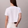 Script Logo Cropped Boxy T-Shirt Script Logo Cropped Boxy T-Shirt