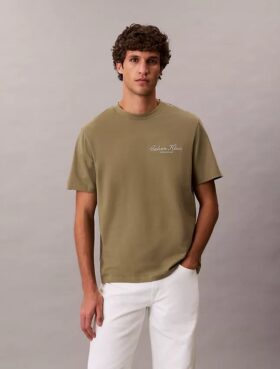 Small Script Logo Graphic Classic T-Shirt