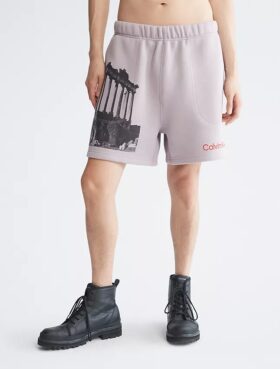 Standards Ruins Graphic Fleece Shorts