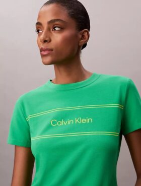 Stripe Logo Graphic Slim T-Shirt