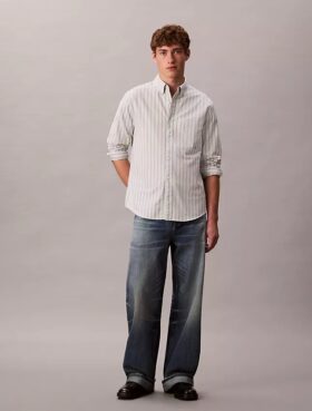 Stripe Oxford Classic Button-Down Shirt