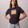 Sunset Graphic Classic Tee Sunset Graphic Classic Tee