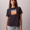 Sunset Graphic Classic Tee Sunset Graphic Classic Tee